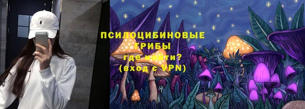 ECSTASY Гусиноозёрск